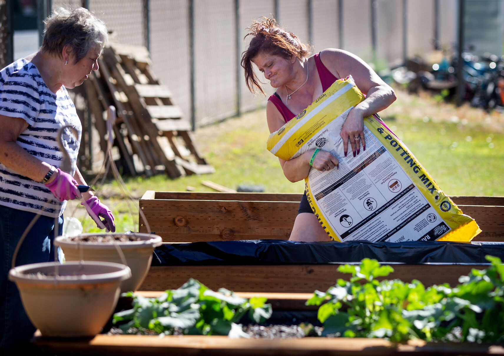 FTSG_5096795162_BuildingGarden.jpg